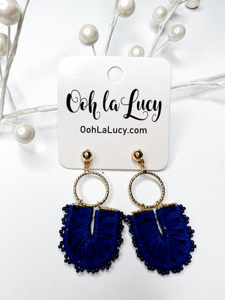 Earrings 1040