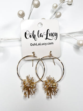 Earrings 1194